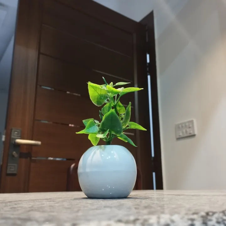 Minimalistic Sphere Ceramic Pot With Long Artificial Herb For Table Decor Set of 2