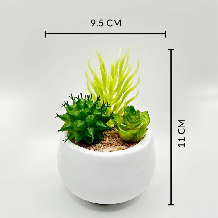 Artificial Mini Plant Mustard OR White Pot