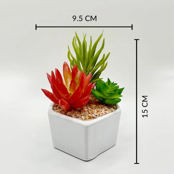 Cactus Trio Decor Pot