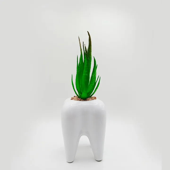 Tooth ceramic pot with artificial plant