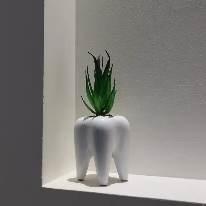 Tooth ceramic pot with artificial plant