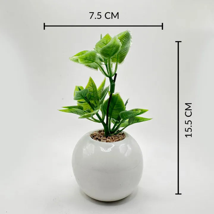 Minimalistic Sphere Ceramic Pot With Long Artificial Herb For Table Decor Set of 2