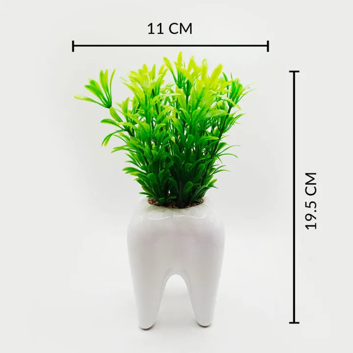 Tooth Shaped Ceramic Pot with Artificial Green Plant