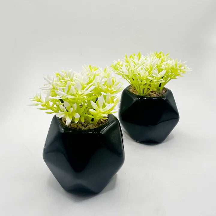 3D Black Diamond Ceramic Pot Set of 2 With Artificial Plant Shrubs For Table Decor