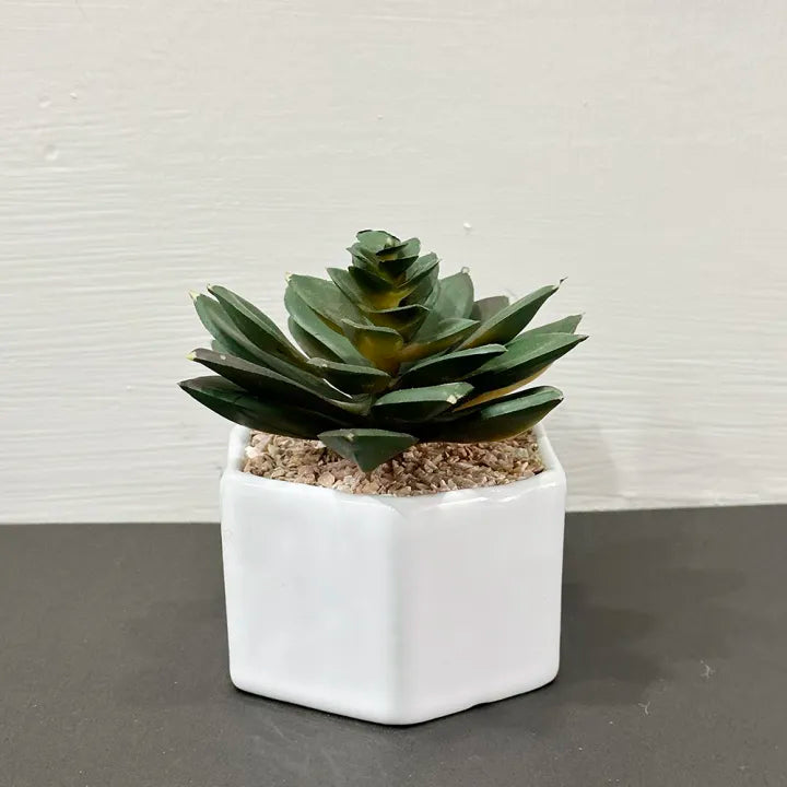 Ceramic Hexagon Shaped Table Pot With Artificial Cactus