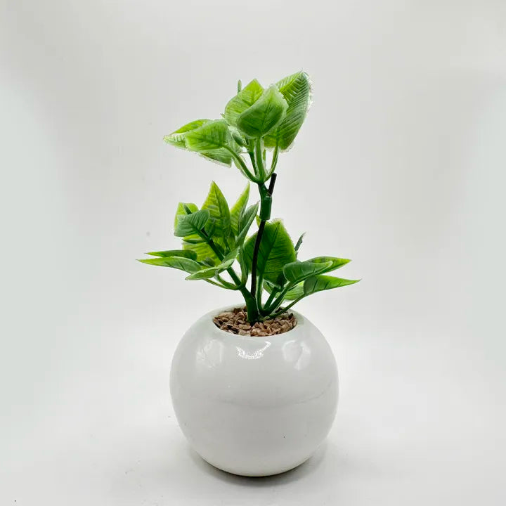 Minimalistic Sphere Ceramic Pot With Long Artificial Herb For Table Decor Set of 2