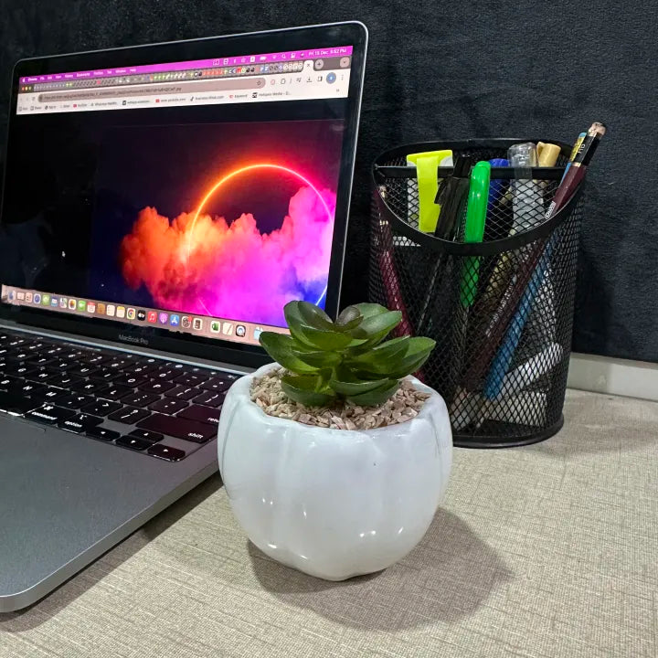 Ceramic Compact Melon Shaped Table Pot With Artificial Cactus
