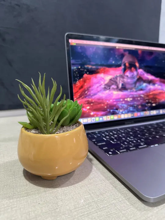 Artificial Mini Plant Mustard OR White Pot