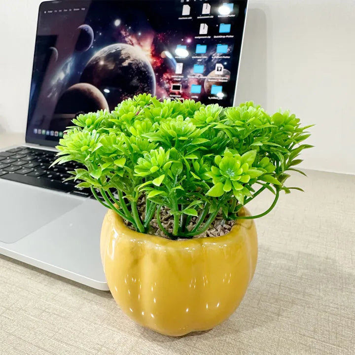Artificial Mini Plant Melon Shaped Black OR Mustard Ceramic Pot Home Decor