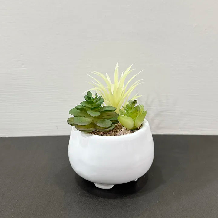 Artificial Mini Plant Mustard OR White Pot