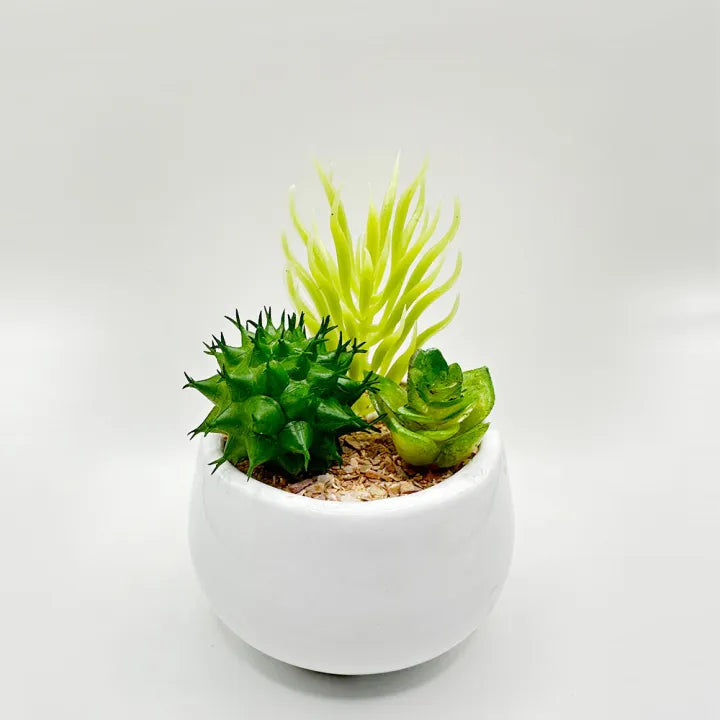 Artificial Mini Plant Mustard OR White Pot