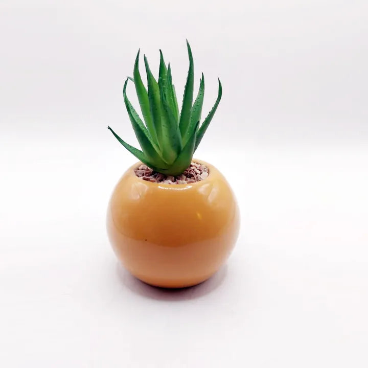 Minimalistic Mustard Sphere Ceramic Pot Set of 2 With Artificial Cactus For Table Decor