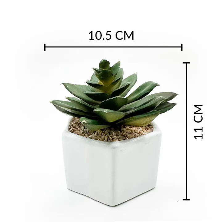 Ceramic Hexagon Shaped Table Pot With Artificial Cactus
