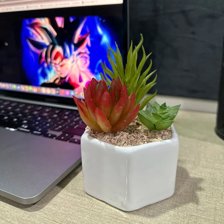Cactus Trio Decor Pot
