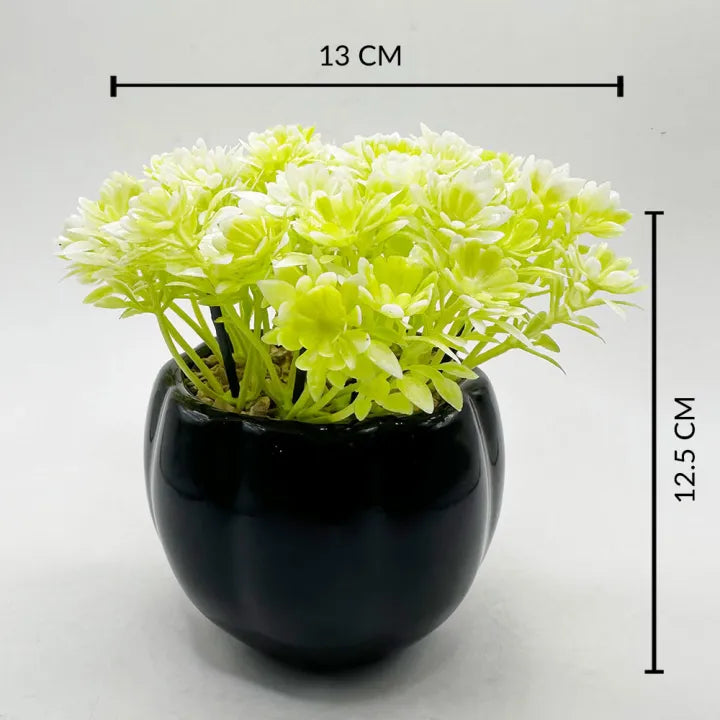 Artificial Mini Plant Melon Shaped Black OR Mustard Ceramic Pot Home Decor