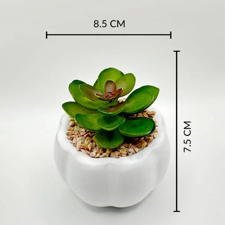 Ceramic Compact Melon Shaped Table Pot With Artificial Cactus