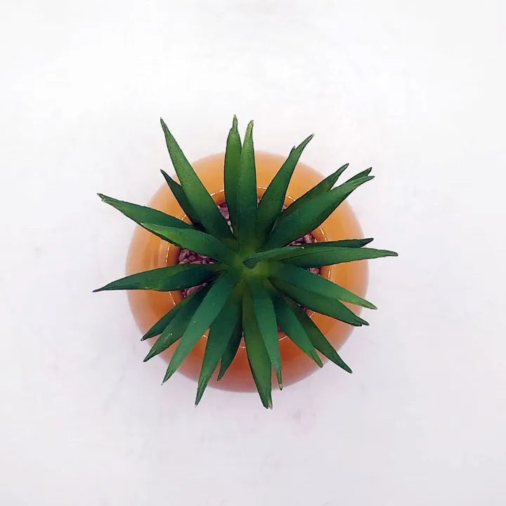 Minimalistic Mustard Sphere Ceramic Pot Set of 2 With Artificial Cactus For Table Decor