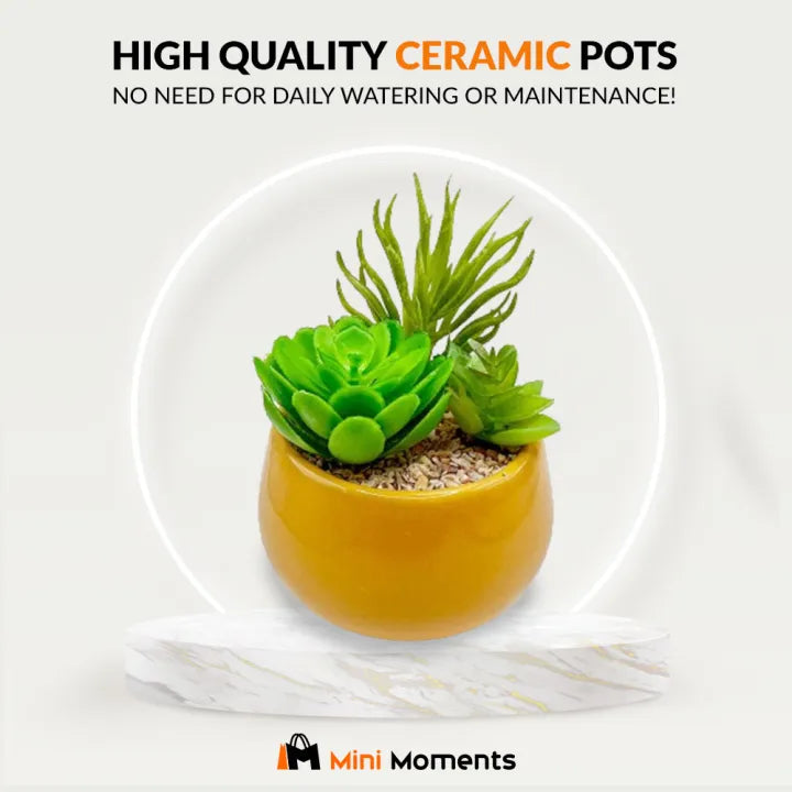 Artificial Mini Plant Mustard OR White Pot