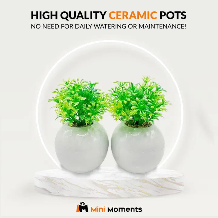 Minimalistic Esthetic Sphere Ceramic Pot Set of 2 With Artificial Plant For Table Decor