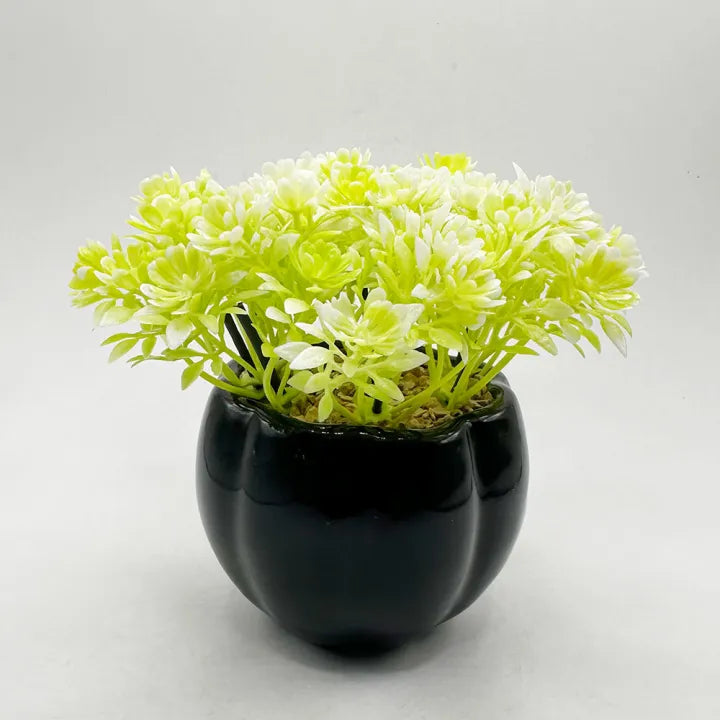 Artificial Mini Plant Melon Shaped Black OR Mustard Ceramic Pot Home Decor