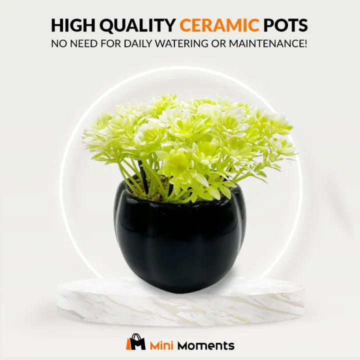 Artificial Mini Plant Melon Shaped Black OR Mustard Ceramic Pot Home Decor