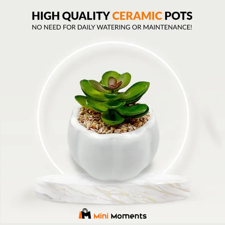 Ceramic Dice With Succulent Green Artificial Plant Home Decor