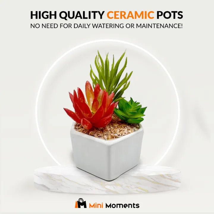 Cactus Trio Decor Pot