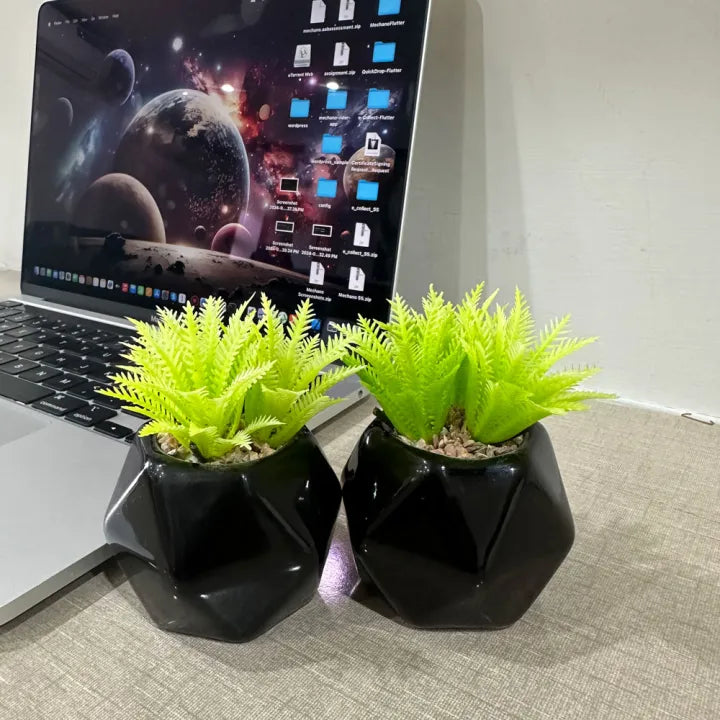3D Black Diamond Ceramic Pot Set of 2 With Artificial Plant For Table Decor