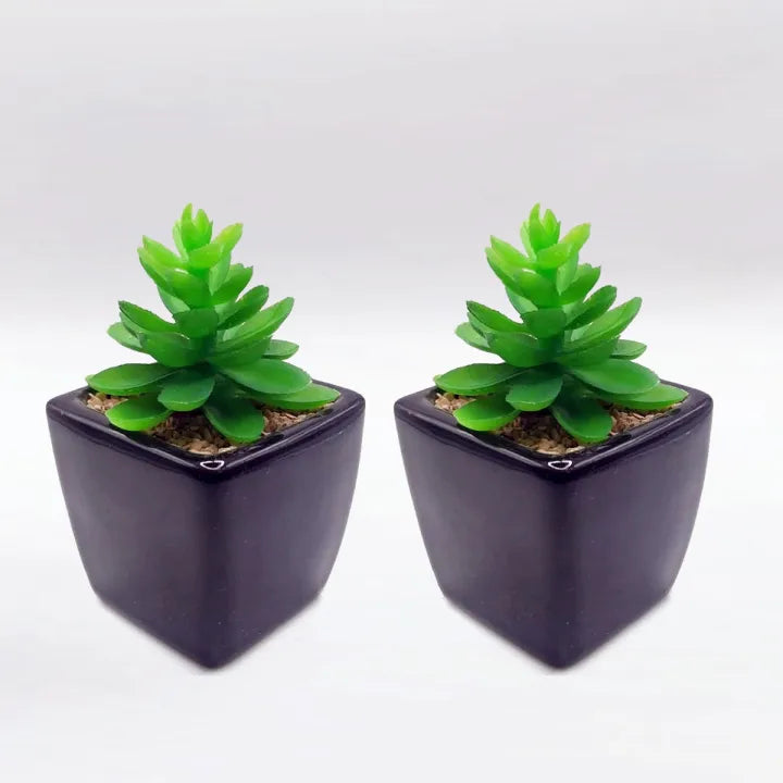 Bucket Style Black Ceramic Pot Set of 2 With Artificial Plant For Table Decor