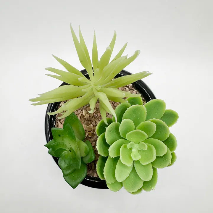 Black Ceramic Pot With Artificial Plant And Pebbles Home Decor
