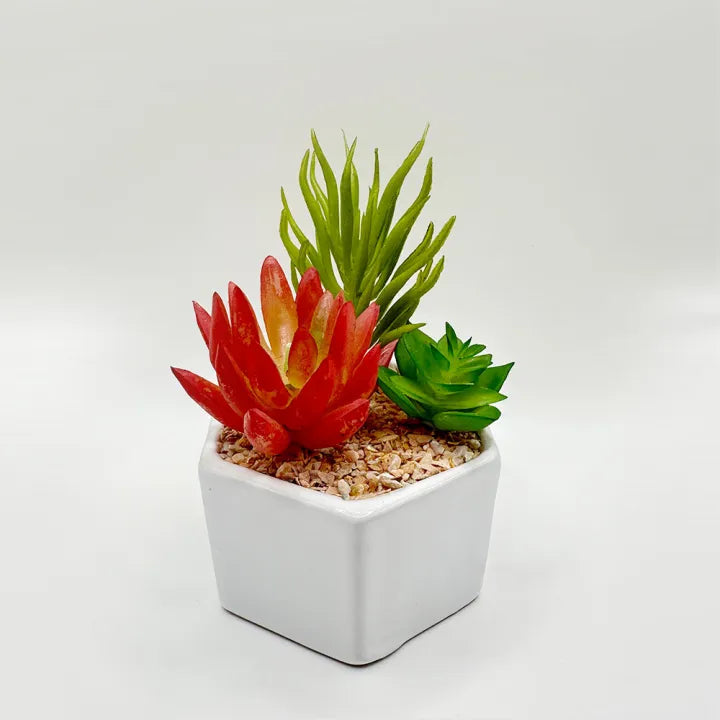 Cactus Trio Decor Pot