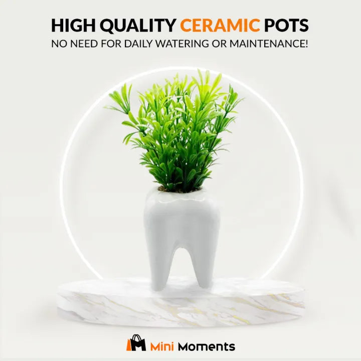 Tooth Shaped Ceramic Pot with Artificial Green Plant