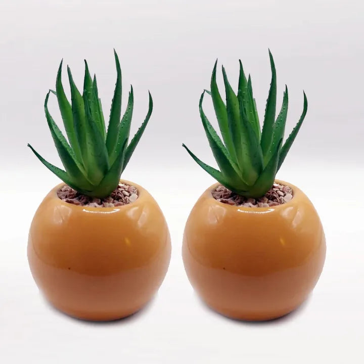 Minimalistic Mustard Sphere Ceramic Pot Set of 2 With Artificial Cactus For Table Decor
