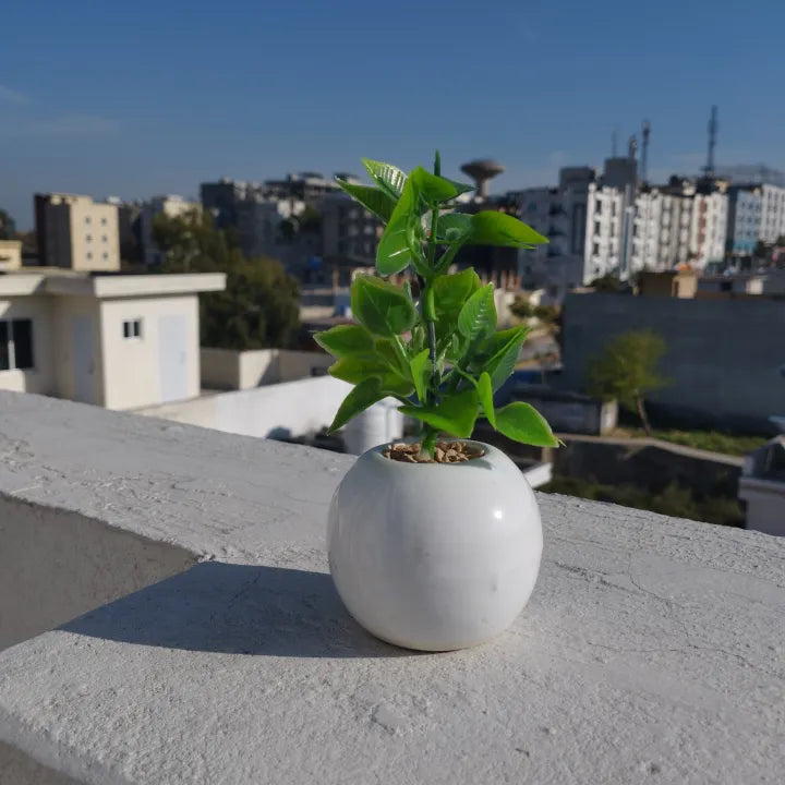 Minimalistic Sphere Ceramic Pot With Long Artificial Herb For Table Decor Set of 2