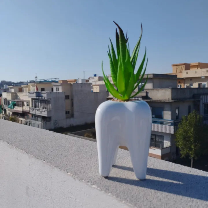 Tooth ceramic pot with artificial plant