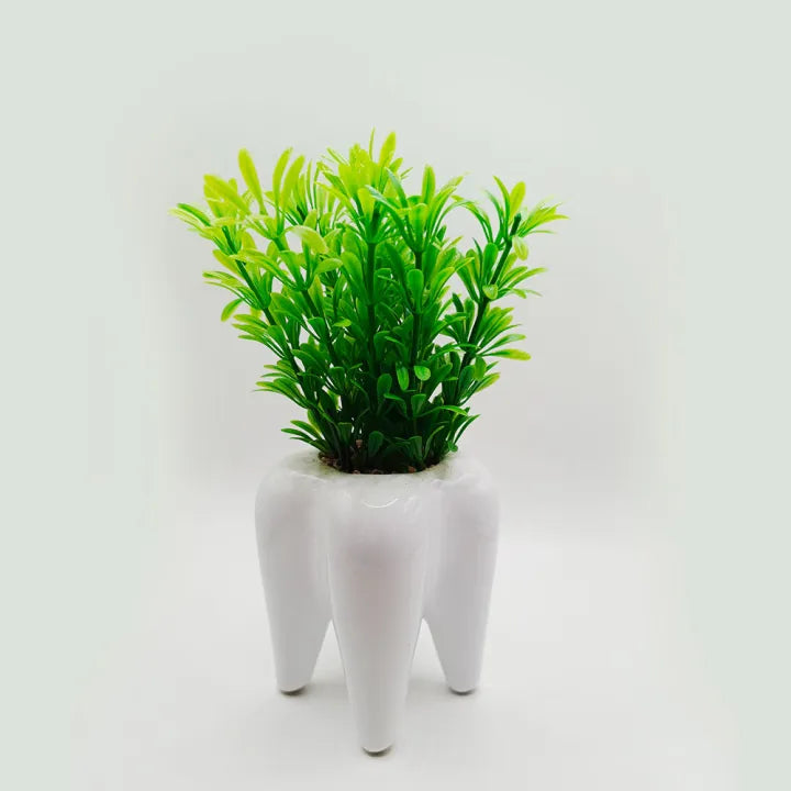 Tooth Shaped Ceramic Pot with Artificial Green Plant