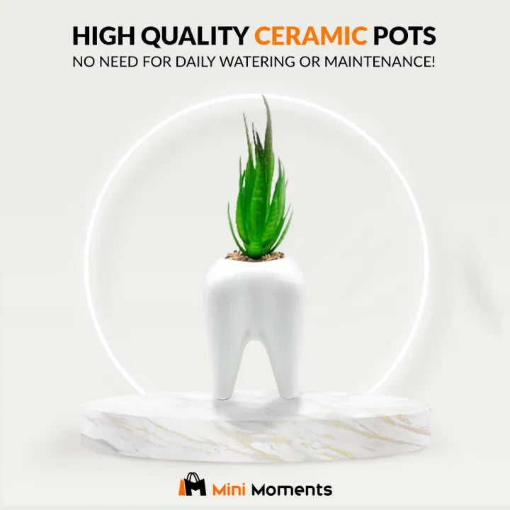 Tooth ceramic pot with artificial plant