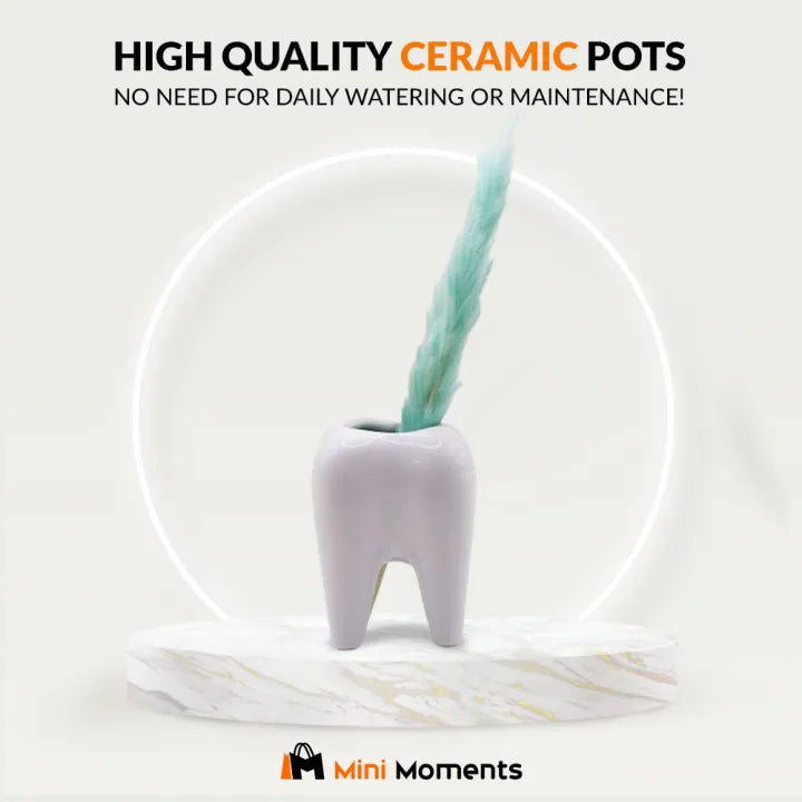 Tooth Shaped White Ceramic Vase Molars For Table Decor