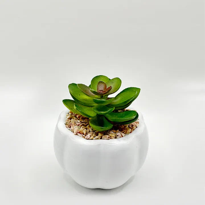 Ceramic Dice With Succulent Green Artificial Plant Home Decor