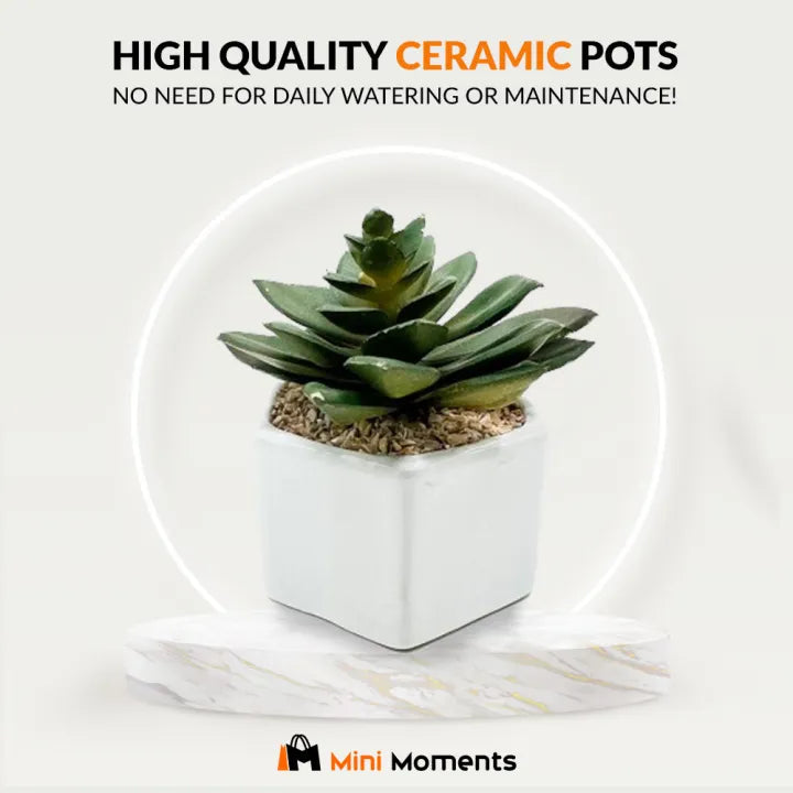Ceramic Hexagon Shaped Table Pot With Artificial Cactus